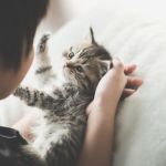 獣医師監修 犬の疥癬 かいせん とは レボリューションなどの治療薬を解説