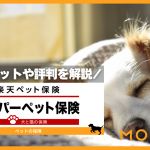 ドコモペット保険の口コミを紹介 補償プランや特徴も徹底解説