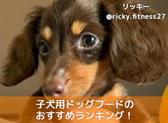 子犬用ドッグフードのおすすめランキング 口コミ 評判から徹底比較