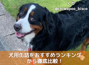 犬用缶詰をおすすめランキングから徹底比較 選び方や与え方も解説