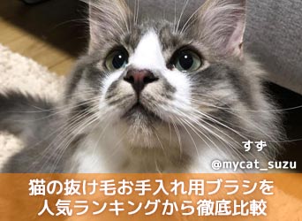 猫の抜け毛お手入れ用ブラシをおすすめ 人気ランキングから徹底比較