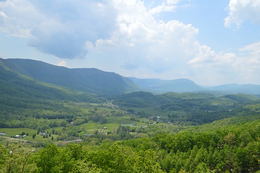 ペットシッターとは？利用方法や選び方、ペットホテルとの比較を解説のサムネイル画像