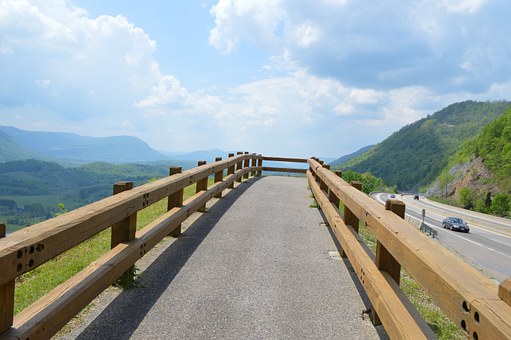 ペットの散歩代行サービスとは？利用方法や料金、サービス内容を解説のサムネイル画像