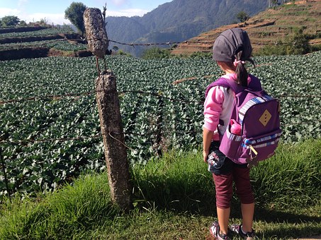 ペットの一時預かりサービスとは？利用方法や料金、選び方を解説！のサムネイル画像