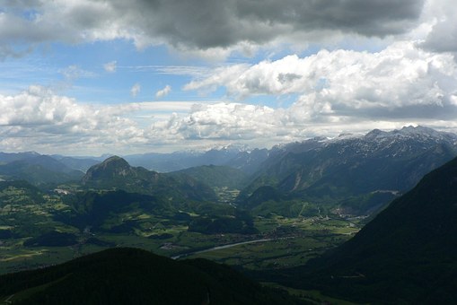 ミニチュアシュナウザーの散歩はどれくらい必要？適切な頻度等を解説のサムネイル画像