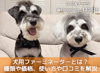 犬用ファーミネーターとは 種類や価格 使い方や口コミ 評判を解説