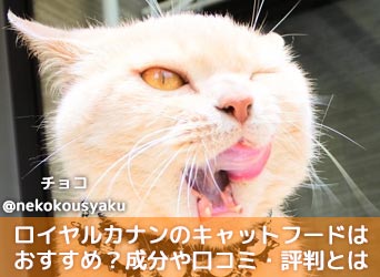 ロイヤルカナンのキャットフードはおすすめ 成分や口コミ 評判とは ロイヤルカナンのキャットフードはおすすめ 成分や口コミ 評判とは