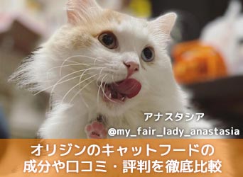 オリジンのキャットフードはおすすめ 成分や口コミ 評判を徹底比較