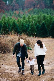 柴犬の換毛期はいつ？時期や期間、ブラッシング等の抜け毛対策を解説のサムネイル画像