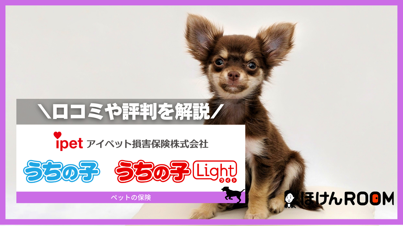 アイペット損保のペット保険の口コミや評判は？特長や補償内容を紹介-サムネイル画像
