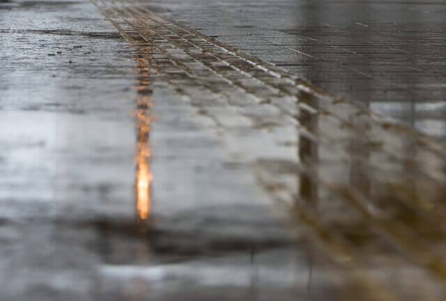 犬が鼻を鳴らすのはなぜ？理由や考えられる病気、対処法を徹底解説のサムネイル画像