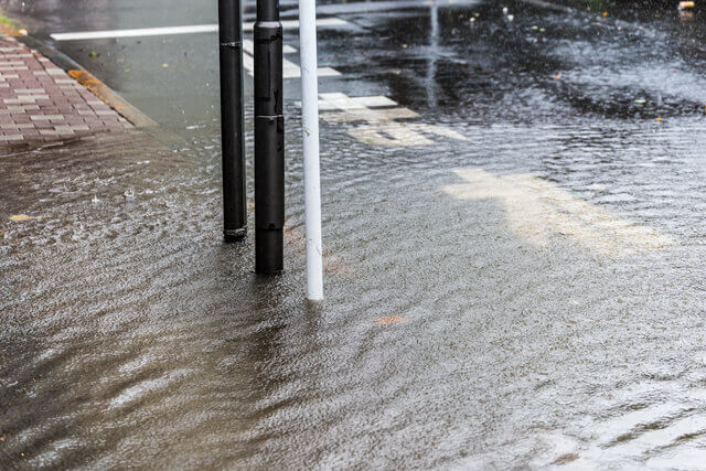猫の爪切りの頻度はどれくらい？切り方のコツや注意点等も徹底解説！のサムネイル画像