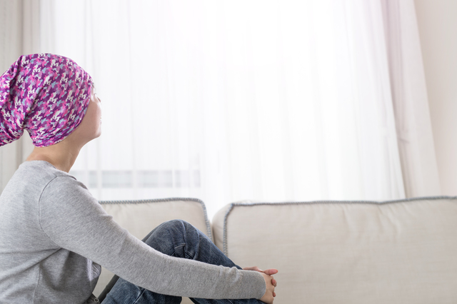 室内飼いの猫は運動不足に注意！猫の運動不足解消方法を紹介のサムネイル画像