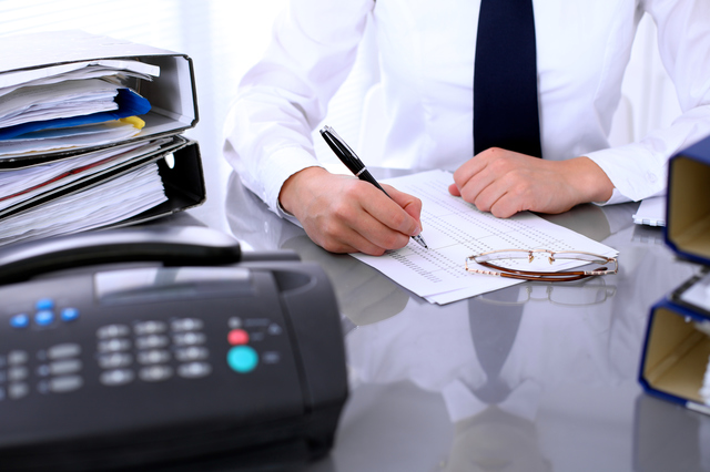 犬はプチトマトを食べられる！期待できる栄養効果と注意点を徹底解説のサムネイル画像