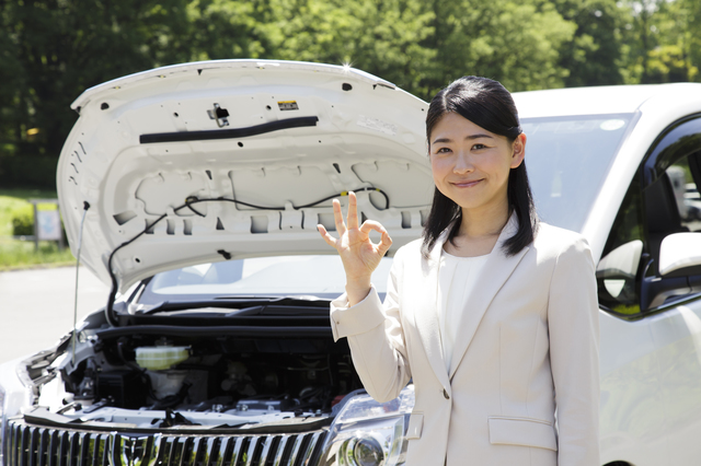 猫がカエルを捕食した！猫にとってカエルは危険な生き物なの？のサムネイル画像