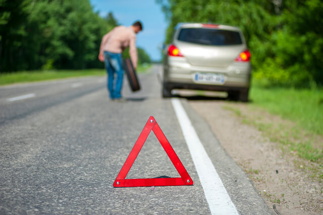 猫にたらこはダメ！与えない方が良い理由と対処法を徹底解説のサムネイル画像