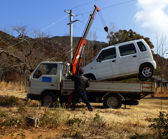 猫のいいところとは？猫の魅力や飼うメリット・デメリットについて徹底解説！のサムネイル画像