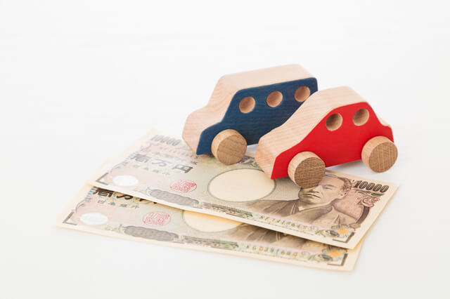 猫のしつけ方を徹底解説！必要性や上手なしつけのコツ・注意点とは？のサムネイル画像