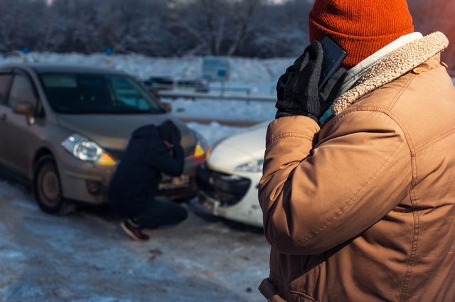 保険金請求方法が簡単なペット保険ランキングを徹底解説！のサムネイル画像