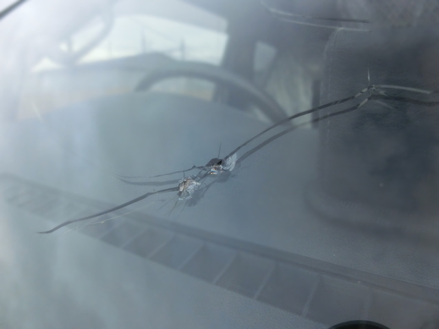 保険 自動車 飛び石