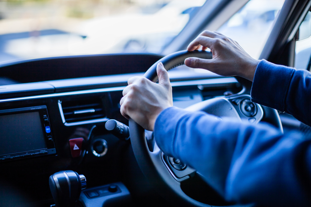 完全室内飼いでも脱走？？猫の脱走理由と予防について解説！のサムネイル画像