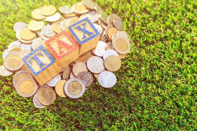 千葉県で犬連れで遊べるスポットはどこなの？遊び徹底調査！のサムネイル画像