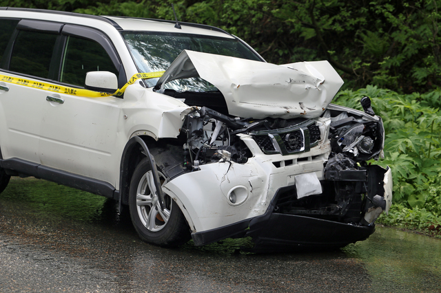 猫が同じ場所から動かない理由はなに？動かない時の対処法などのサムネイル画像