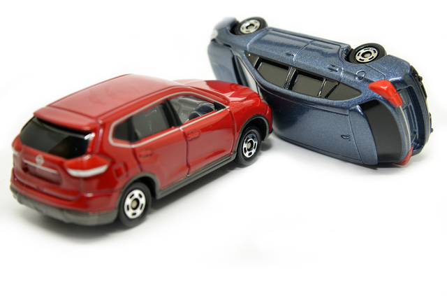 犬の叱り方を詳しく紹介！犬を叱る際の正しい方法や注意点などのサムネイル画像