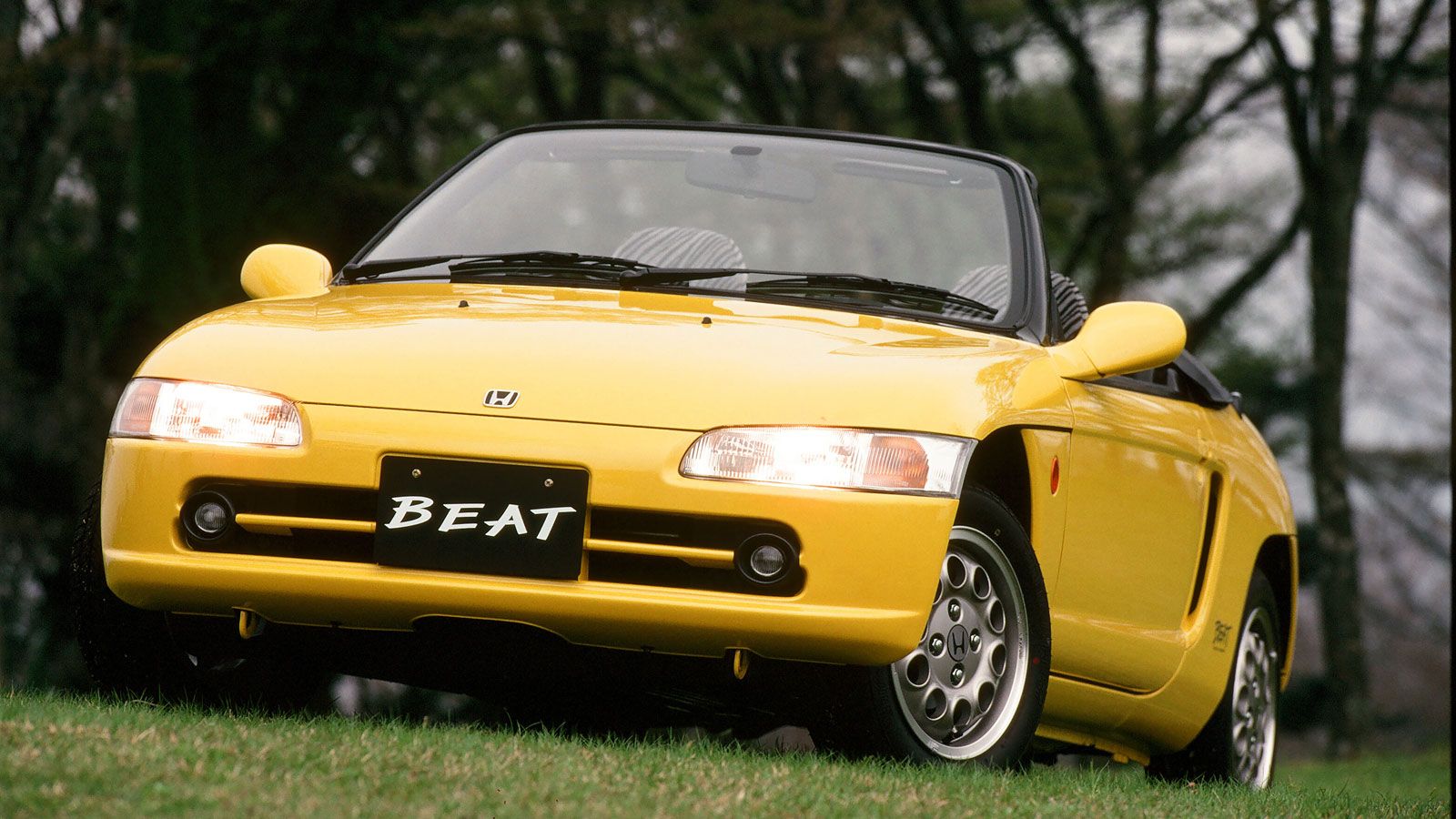 猫の平均体重はどのくらい？適正体重早見表、ダイエット方法も解説！のサムネイル画像