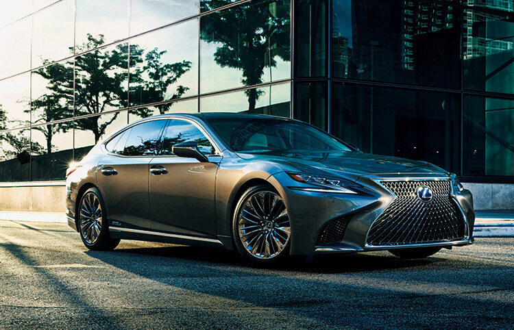 「犬が飛びつきしてくるのはなぜ？」飛び癖の心理なども説明のサムネイル画像