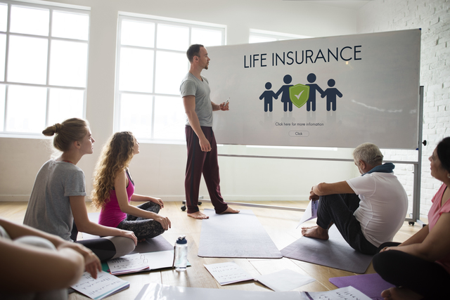 プラムはそのまま犬が食べても大丈夫？食べ方によっては大丈夫！のサムネイル画像