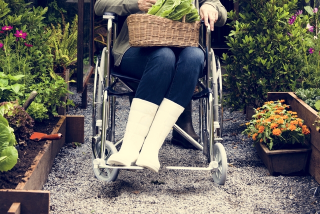 バリニーズについて詳しく紹介！バリニーズの性格や特徴などのサムネイル画像