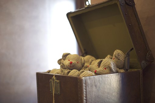 犬のドライヤー、嫌がらないかけ方とは？手順や注意点を紹介！のサムネイル画像