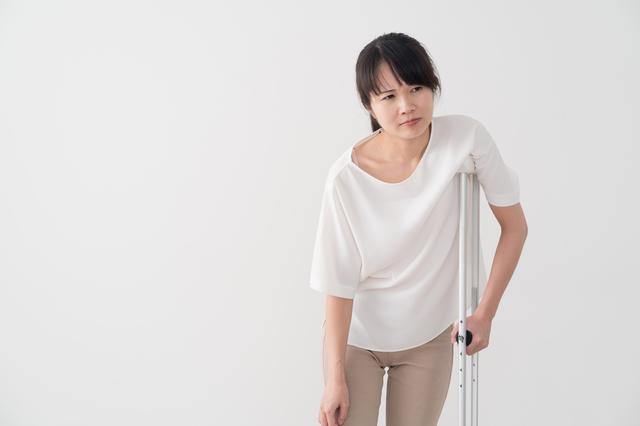 グレー猫の種類は？種類別に特徴や性格、飼い方の注意点まで徹底解説のサムネイル画像