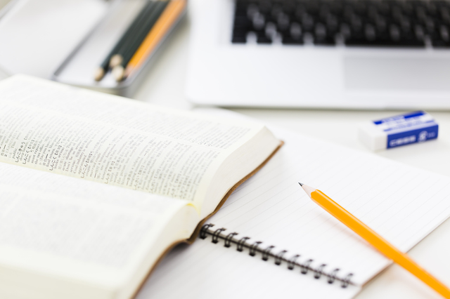 犬のマイボーム腺腫を放置するのは危険！目への影響や対処法を解説！のサムネイル画像