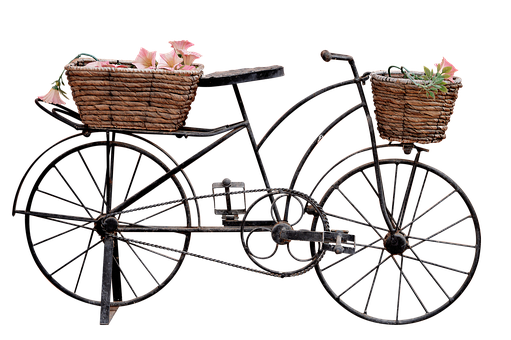 チワワの歯の生え変わりについて紹介！歯のトラブルや対処法のサムネイル画像