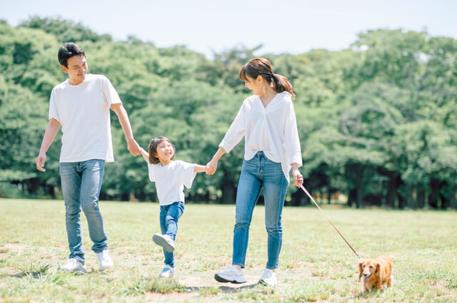 愛猫の脱腸について解説！症状・原因・治療法・予防法を紹介のサムネイル画像