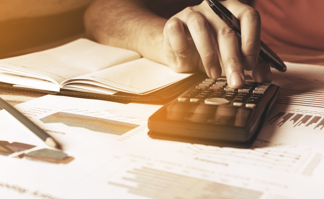 トイプードルの毛色が薄くなるのはなぜ？原因や時期などを解説のサムネイル画像