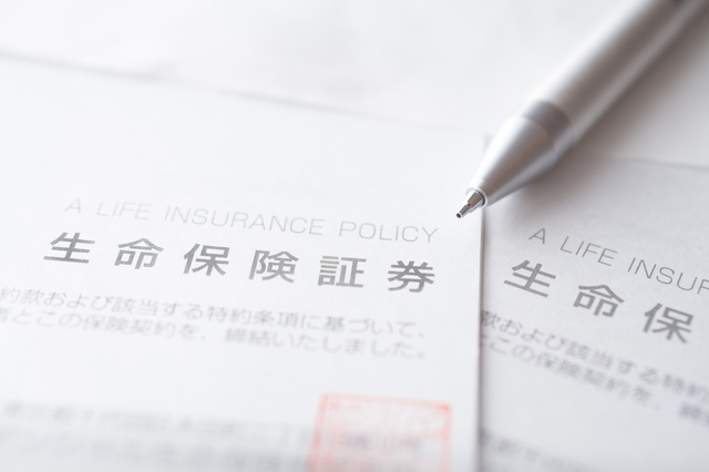 ポンポンデリドッグフードの口コミ・評判は？原材料や添加物、安全性を徹底解説のサムネイル画像