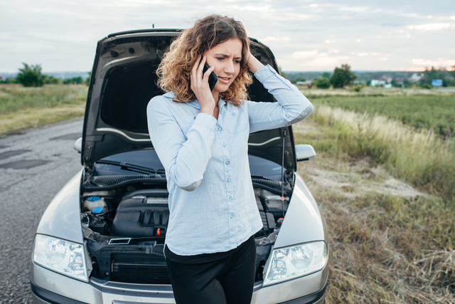 ラン・ミールドッグフードの口コミ・評判は？原材料や添加物、安全性を徹底解説のサムネイル画像