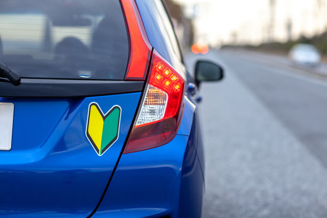 アイムスドッグフードの口コミ・評判は？原材料や添加物、安全性を徹底解説のサムネイル画像