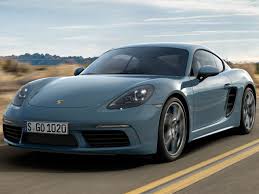 ライオンラビット(ライオンヘッド)の寿命・性格・特徴は？飼い方や病気についても解説！のサムネイル画像