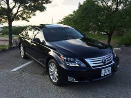 うさぎの発情期について解説！いつ終わる？オスメスの行動や食欲の変化とは？のサムネイル画像