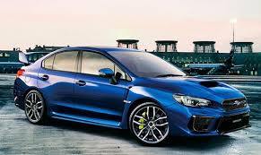 ミニウサギの寿命は何年？性格や特徴、かかりやすい病気についても解説！のサムネイル画像