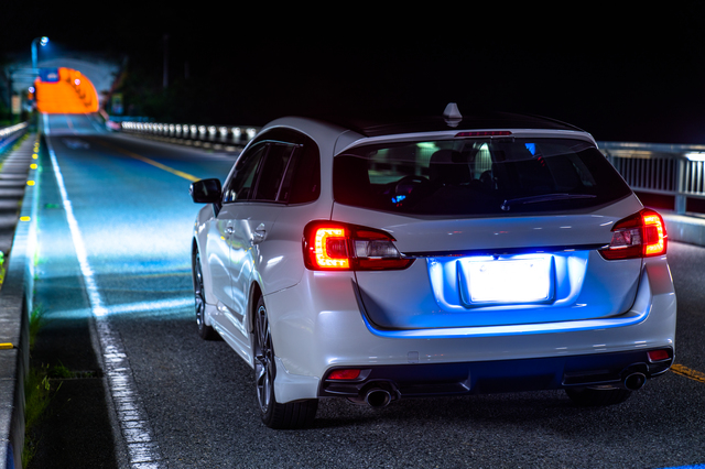 うさぎが骨折しているかも！骨折の見分け方、治療方法・費用についても解説のサムネイル画像