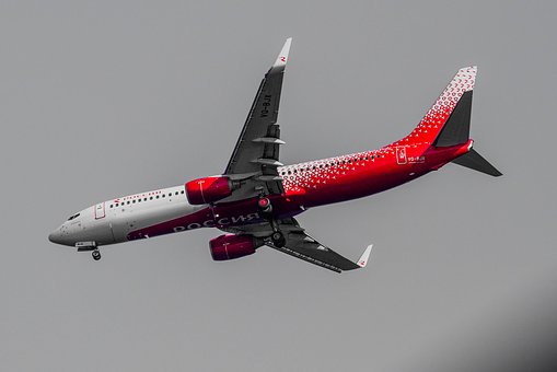 うさぎがうんちをしない！何時間続くと危険？マッサージは有効？のサムネイル画像