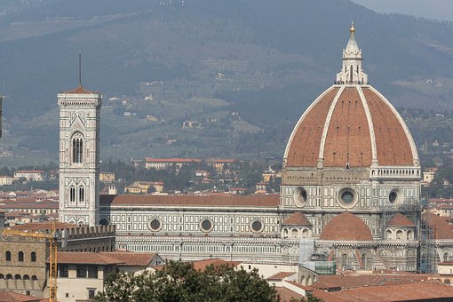 【獣医師監修】文鳥の換羽期や症状は？サポートできることも徹底解説のサムネイル画像