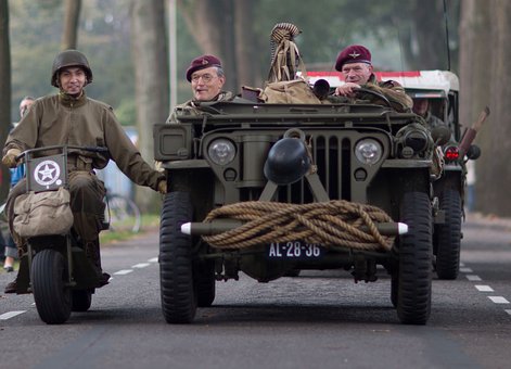 【獣医師監修】文鳥に爪切りは不要？失敗しない切り方や必要な道具について徹底解説のサムネイル画像