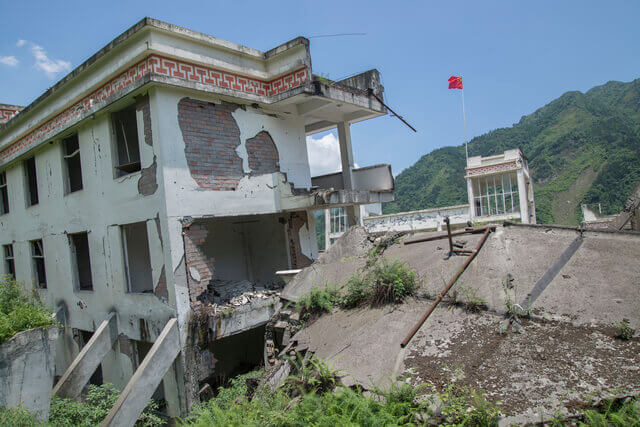 フクロウを飼うデメリットは？後悔する前に知っておきたい注意点を徹底解説【獣医師監修】のサムネイル画像