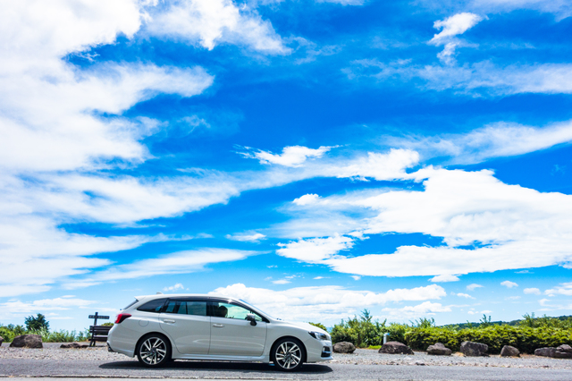 【#ハッピーモフ2023夏】受賞わんちゃん大発表！のサムネイル画像